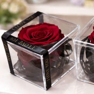 May include: A single, deep red rose presented in a clear acrylic cube. The box is decorated with a black ribbon featuring the gold text "I LOVE YOU". Black decorative elements surround the rose.