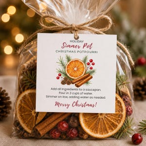Christmas Potpourri Gift Tag Printable | Simmer Pot Recipe (Instant Download)