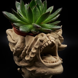 Peut inclure: Un pot de fleurs sculpté de couleur beige en forme de créature avec une bouche ouverte, des dents et une peau texturée. Une plante succulente verte aux feuilles pointues est placée dans l'ouverture supérieure sur un fond noir uni.
