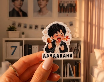 Pegatinas divertidas de Kpop / Pegatinas chibi de Hoolijin Hot Wings / Pegatinas de vinilo / Come On Wing / Regalo para fans del Kpop / Obsequios de conciertos