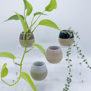 May include: Four small, two-toned ceramic pots with plants on a clear, tiered display. The pots are in shades of gray, tan, and pink, with green plants. The plants include a trailing vine and a plant with large, bright green leaves.
