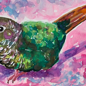 Parrot Original Painting, Conure Art Print, colorful bird art, bird artwork, bird art print, tropical bird art, tropical parrot painting