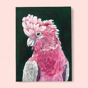 Original Painting Art Rosy Cockatoo Parrot Boho Jungle Theme 6x8