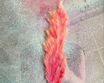 May include: A single, vibrant pink pampas grass plume positioned vertically against a textured background featuring a gradient of spray-painted colours, including shades of teal, magenta, and dark grey with a speckled, glitter-like appearance.