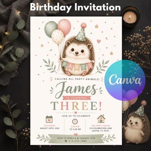 May include: A birthday invitation featuring a cartoon hedgehog wearing a party hat and holding balloons and a banner that reads PARTY. Text includes CALLING ALL PARTY ANIMALS! James IS TURNING THREE! SATURDAY AUGUST 24TH, 2024, 2:00 PM TO 5:00 PM.