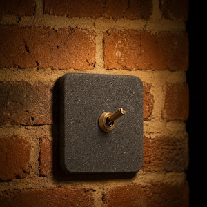 Könnte beinhalten: Ein dunkelgrauer, quadratischer Lichtschalter mit einem Messinghebel, montiert an einer roten Backsteinmauer. Der Schalter hat eine strukturierte Oberfläche und ein schlichtes, industrielles Design. Die Backsteinmauer bildet einen Kontrast.