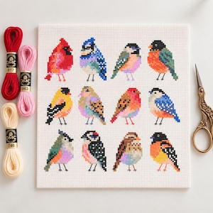 May include: A square white Aida fabric featuring a cross-stitch pattern of twelve colorful birds arranged in a grid. Three skeins of DMC embroidery floss in red, pink, and cream colors are on the left, and ornate gold scissors are on the right.