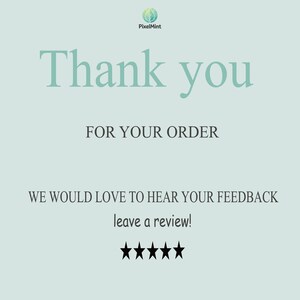 Puede incluir: Fondo azul claro con el texto "Thank you" en fuente grande, seguido de "FOR YOUR ORDER". Debajo, se lee "WE WOULD LOVE TO HEAR YOUR FEEDBACK leave a review!" con cinco estrellas negras.
