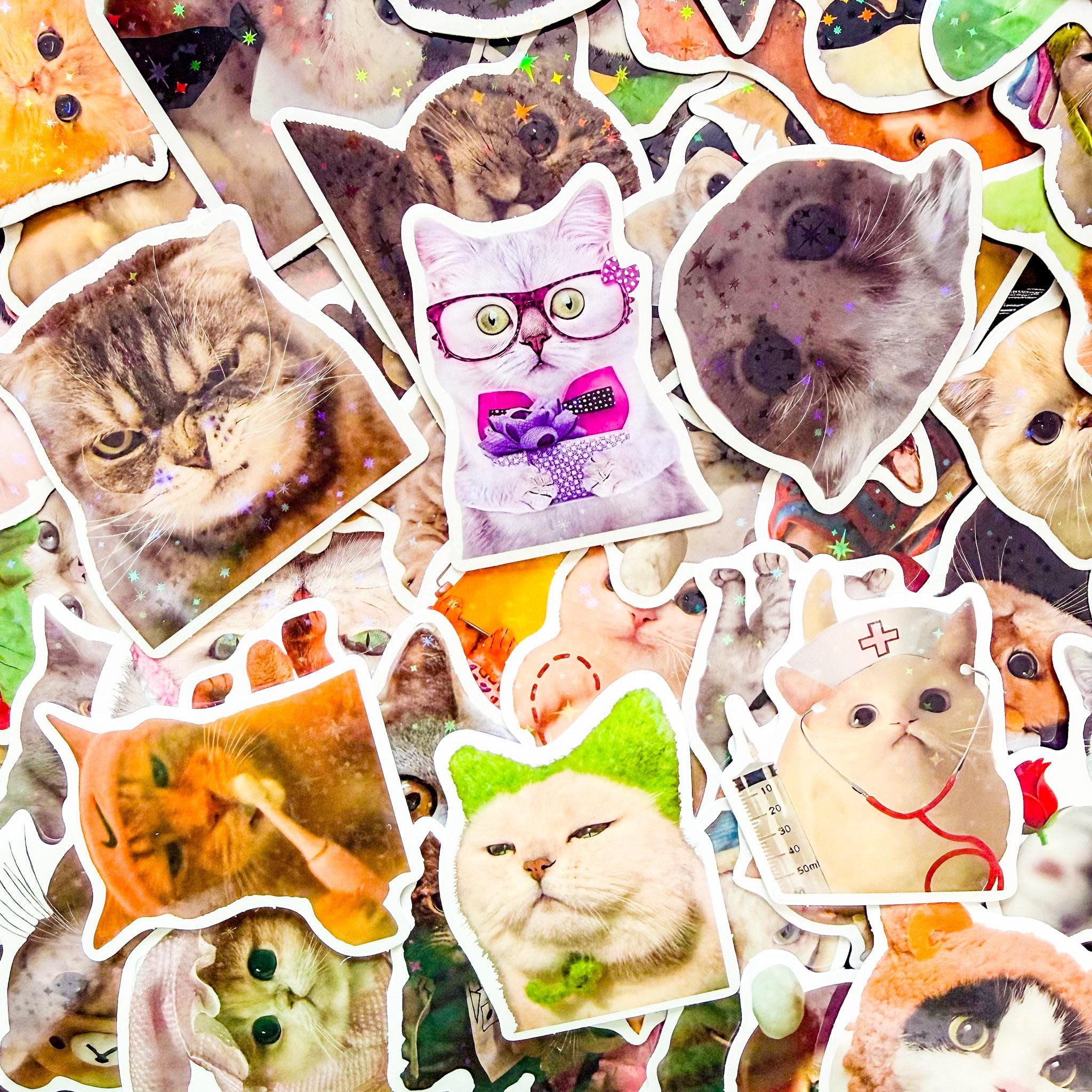 200PCS Cut Cat Sticker Pack, Kawaii Stickers, Ins Stickers, Laminated ...