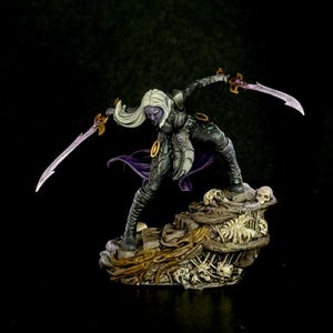 May include: A detailed miniature figure of a warrior with pale skin and white hair, holding two swords. The figure is in dark armour and stands on a base decorated with skulls. A purple cape provides a contrast.