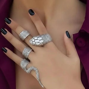 Könnte beinhalten: Ein Set aus silberfarbenen Ringen an vier Fingern. Ein Ring zeigt ein detailliertes Schlangenkopf-Design, ein weiterer ist ein langer, gewundener Schlangenkörper-Ring und zwei Ringe haben ein texturiertes Gittermuster auf der Oberfläche.
