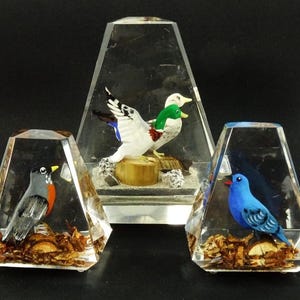 May include: Three decorative bird sculptures encased in clear, geometric blocks. One features a blue bird, another a grey bird with a red breast, and the largest showcases a white duck with green accents. Each bird rests on a bed of dried leaves.