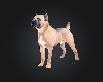 Cane Corso STL/RPG for 3D Printing (Digital Download)