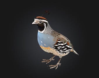 Quail STL/RPG for 3D Printing (Digital Download)