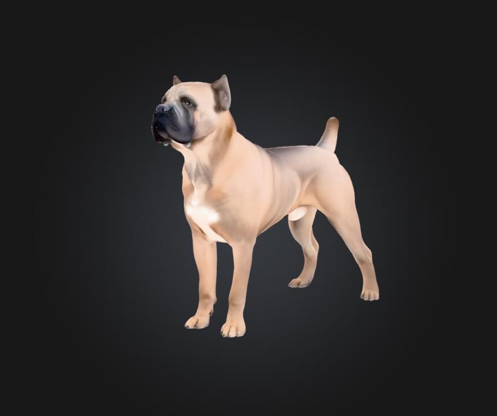 Cane Corso Model Cane Corso 3D Model – STL + FBX File for 3D Printing – Resin/filament ...