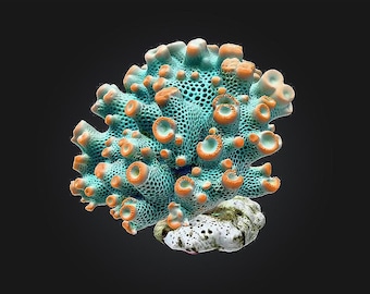 Coral STL/RPG for 3D Printing (Digital Download)