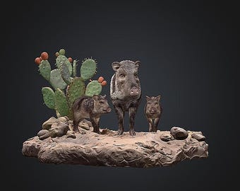 Javelina Family  STL/RPG for 3D Printing (Digital Download)