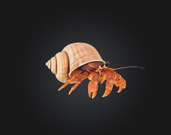 Hermit Crab STL/RPG for 3D Printing (Digital Download)