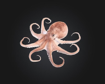 Octopus STL/RPG for 3D Printing (Digital Download)