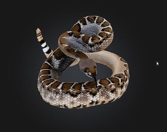 Rattle Snake STL/RPG for 3D Printing (Digital Download)