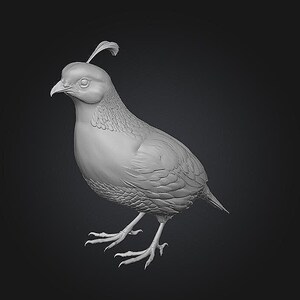 May include: A monochromatic gray sculpture of a California quail standing in profile. The bird figure features a distinct curved plume on its head, detailed feather textures on the chest and wings, a sharp beak, and slender legs with clawed feet.