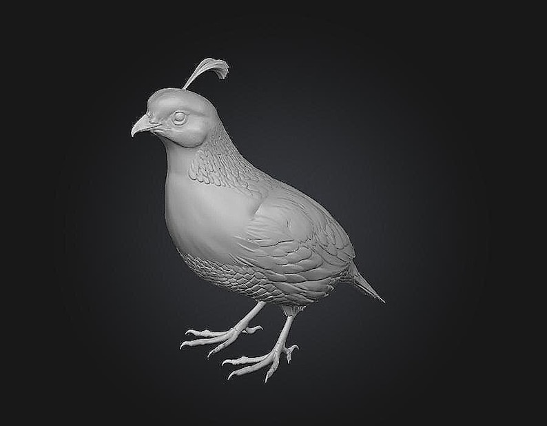 May include: A monochromatic gray sculpture of a California quail standing in profile. The bird figure features a distinct curved plume on its head, detailed feather textures on the chest and wings, a sharp beak, and slender legs with clawed feet.