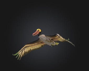 Pelican STL/RPG for 3D Printing (Digital Download)