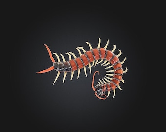 Desert Centipede STL/RPG for 3D Printing (Digital Download)