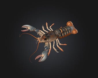 Lobster STL/RPG for 3D Printing (Digital Download)