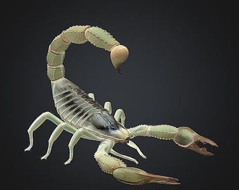 Scorpion STL/RPG for 3D Printing (Digital Download)