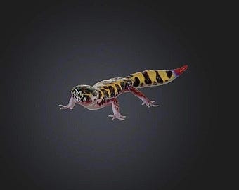 Banded Gecko STL/RPG for 3D Printing (Digital Download)