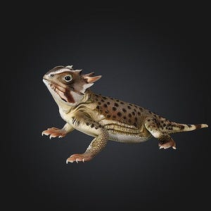 Hornödla Skalbar STL – RPG-figur – Bordsmodell – STL-fil för 3D-utskrift