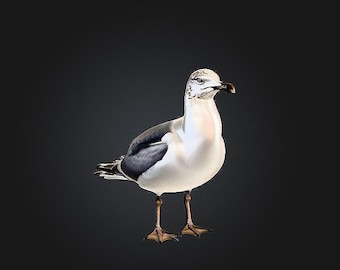 Seagull STL/RPG for 3D Printing (Digital Download)