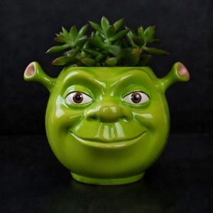Shrek Planter STL | Cartoon Character Plant  | Funny Plant Holder | 3D Print Flower Pot File