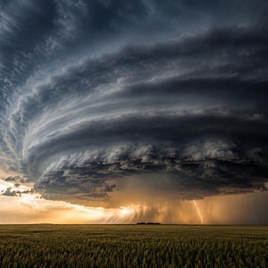 Puede incluir: Una tormenta supercelular masiva con una estructura de nubes gris oscuro giratoria y estratificada domina el cielo sobre un campo de trigo dorado. Un rayo brillante golpea el suelo bajo las pesadas cortinas de lluvia en el horizonte.