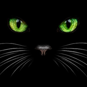 May include: A black cat face emerging from darkness, featuring piercing, vibrant green eyes with vertical black pupils, a textured black nose, and long, thin, white whiskers extending outward on both sides of the face against a black background.