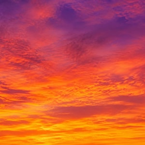 以下が含まれることがあります： 鮮やかな夕焼け空。下部の明るい黄色から、燃えるようなオレンジと赤の色合いへと変化し、上部では深い紫に。薄い雲がドラマチックなシーンにテクスチャを加えています。