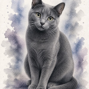 Könnte beinhalten: Eine Aquarellillustration einer einfarbigen grauen Katze mit kurzem Fell, spitzen Ohren und hellgrünen Augen. Die Katze sitzt aufrecht und schaut mit neutralem Ausdruck nach vorne vor einem weichen, abstrakten blau-violetten Hintergrund.