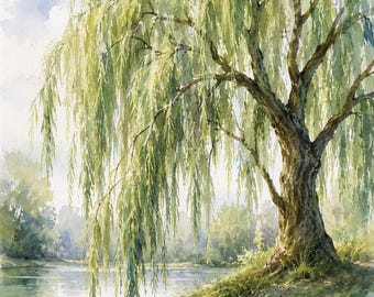 May include: Watercolor painting of a weeping willow tree with long, cascading green leaves. The tree stands on a small grassy bank next to a calm body of water. The sky is a soft blue with hints of clouds.