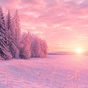 May include: A winter landscape featuring a snow-covered field and a dense forest of tall pine trees coated in frost. The scene is illuminated by a soft pink sunrise, casting a warm glow across the white snow and the clouds in the sky.