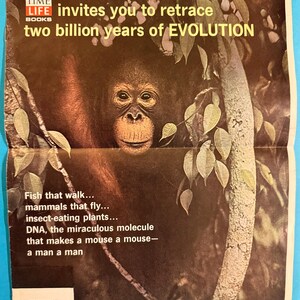 Może przedstawiać: Zabytkowa reklama TIME LIFE BOOKS z orangutanem. Tekst brzmi "zaprasza do prześledzenia dwóch miliardów lat EWOLUCJI". Dodatkowy tekst opisuje różne tematy naukowe. Widoczne jest logo Detroit Free Press.