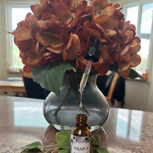 Snap-8 and Hyaluronic Acid Serum image 2