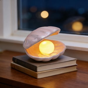 May include: A seashell-shaped lamp with a glowing yellow orb inside. The lamp is light pink and sits on a stack of books. The background shows a window with a blurred night scene and a few bright lights.