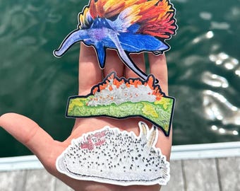 May include: Three die-cut stickers featuring detailed illustrations of sea slugs. The top sticker shows a blue nudibranch with vibrant orange and yellow gills. The middle sticker depicts a white and orange sea slug, and the bottom is a white, spiky nudibranch.