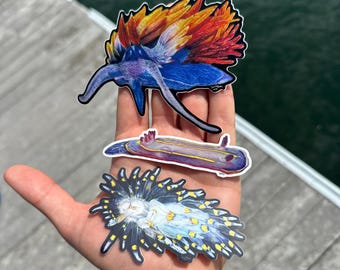 May include: Three die-cut stickers featuring detailed illustrations of sea slugs. The top sticker shows a blue nudibranch with vibrant orange and red dorsal appendages. The middle sticker is a slender purple nudibranch with yellow stripes. The bottom sticker is a white nudibranch with black-tipped, yellow-spotted projections.