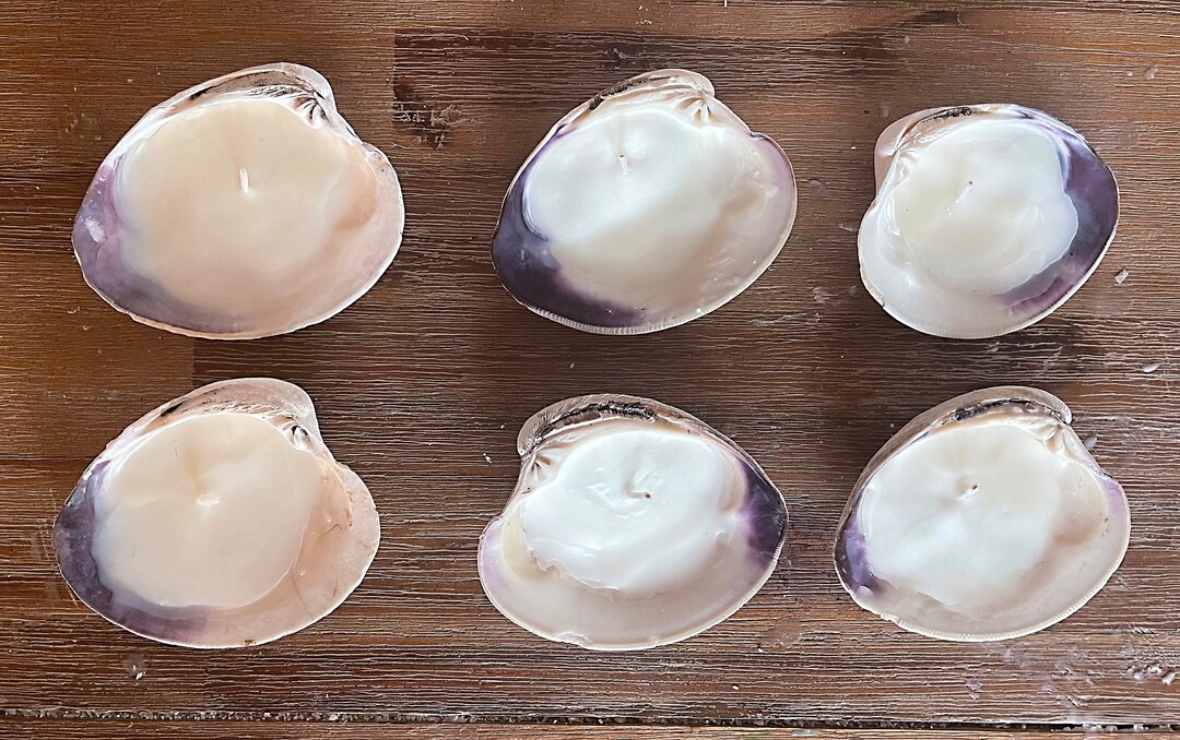Cape Cod Clam Soy Candles bundle of 6 Etsy