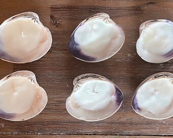 Cape Cod Clam Soy Candles (Bundle of 6)