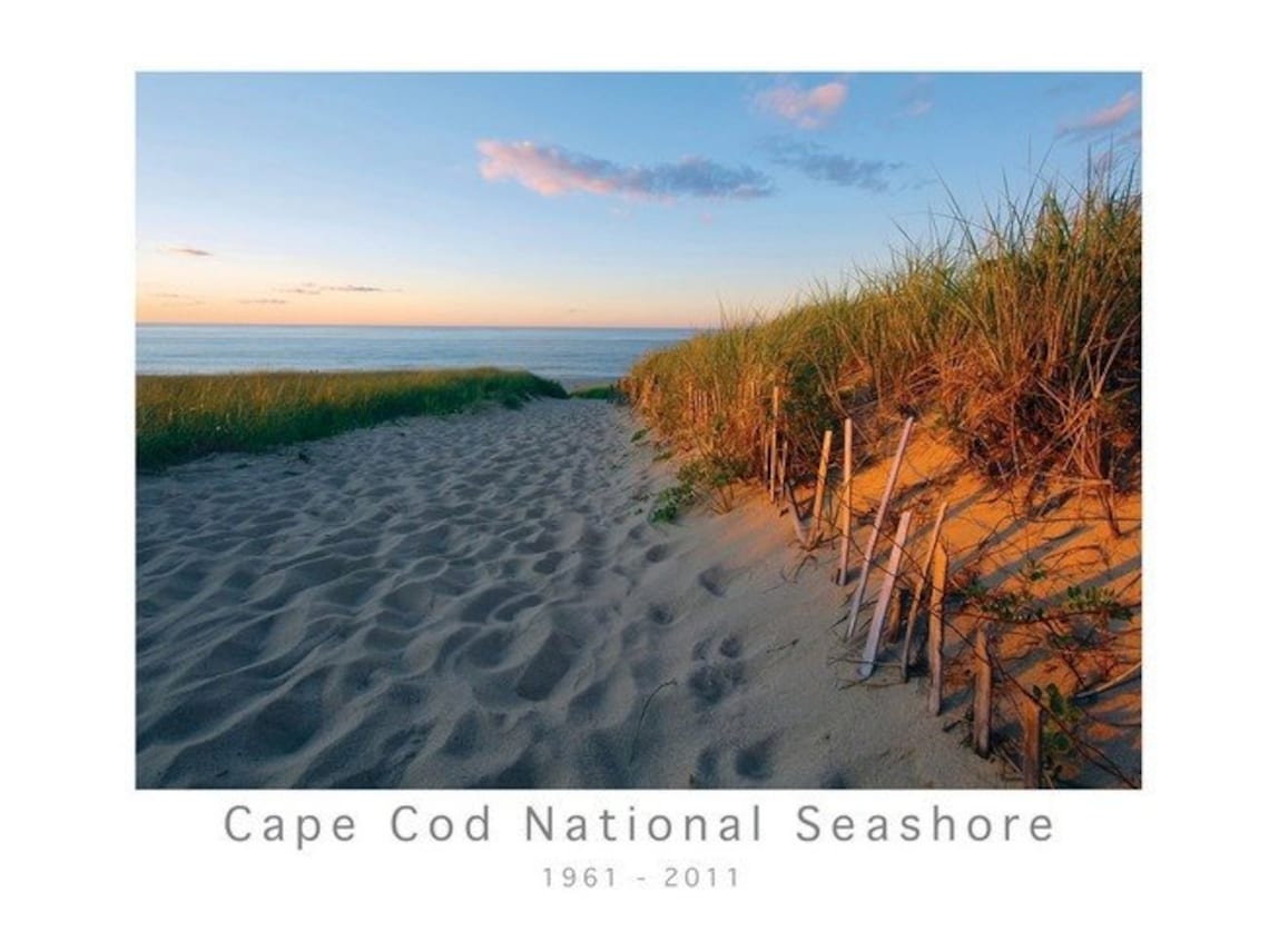 Cape Cod National Seashore 50th Anniversary Vintage Poster Etsy