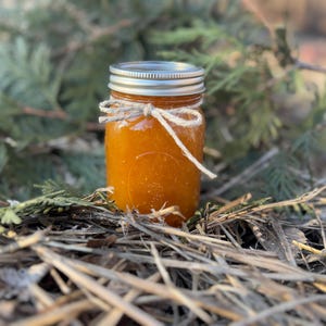 May include: A small glass jar filled with a vibrant orange substance, possibly jam or preserves. The jar has a silver lid and is tied with twine. The background features green foliage and dry grass, suggesting a natural setting.