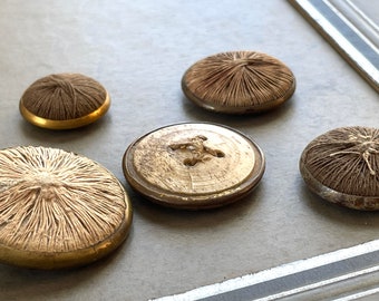 Antique thread back buttons bone Greek goddess shell celluloid collectors catgut collector rare